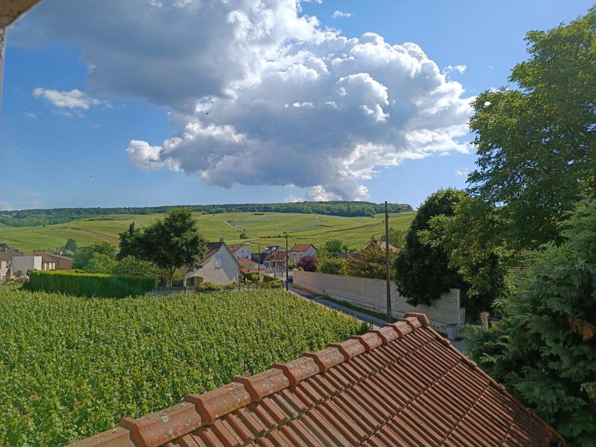 Gite Independant Diz'Enreves Au Coeur Des Vignes Dizy Екстер'єр фото